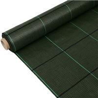 Toile de paillage 130g/m² Verte - Rouleau de 5,25 M x 100,00 M - Edia