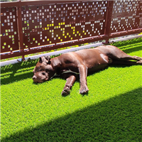 Gazon synthétique - Campus Exelgreen - Garantie 8 ans - Hauteur 38,00 MM