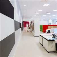 Dalle de plafond acoustique Ecophon Advantage E 15,00 MM - Bords feuillurés - T15 - 60 x 60 cm