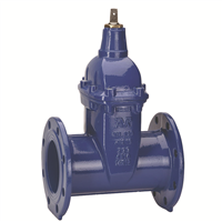 VANNE 02/68 FAH DN 150 PN 25