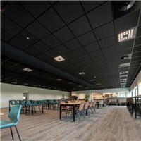 Dalle faux plafond noir 60,0 CM x 60,0 CM - Tonga A 22 - Bords droits - ép. 22 mm