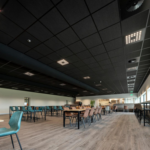 Dalle faux plafond noir 60,0 CM x 60,0 CM - Tonga A 22 - Bords droits - ép. 22 mm