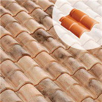 Double rive + clip Romane Canal