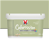 Peinture V33 colorissim satin couleur Eucalyptus