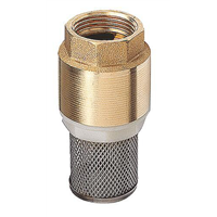 Clapet crépine universel Femelle 1" axe plastique