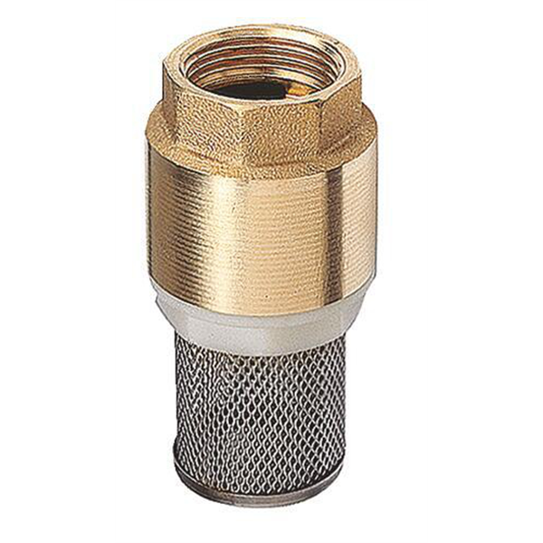 Clapet crépine universel Femelle 1" axe plastique