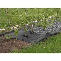 GEOT WEEDCONTROL PREM NR 1X25M