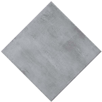 Carrelage extérieur grès cérame émaillé rectifié effet béton Edilis Steamtech - 60 cm x 60 cm - ép. 20 mm - Ash