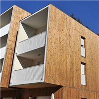 Lame de bardage Mezzo en douglas - bois traité classe 3 marron - 125 x 22 mm - longueur 4 M