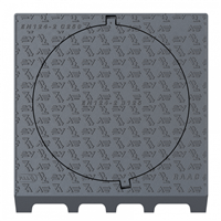 Plaque de recouvrement C250 Profil A