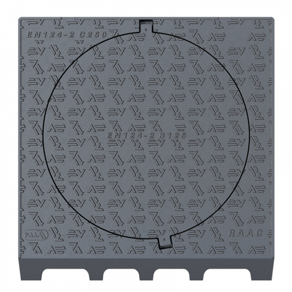 Plaque de recouvrement C250 Profil A