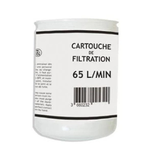 Cartouche de filtration pour gasoil - RENSON - 65L/min