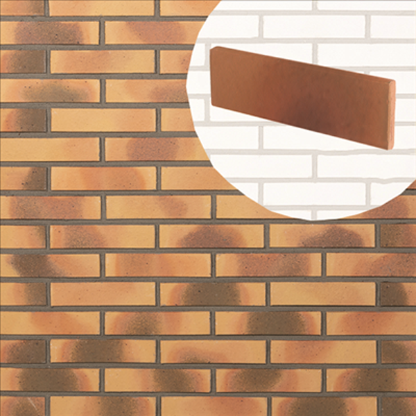 Plaquette de parement mural en terre cuite lisse Terreal Jasmin - 22 CM x 5 CM - épaisseur 14 MM