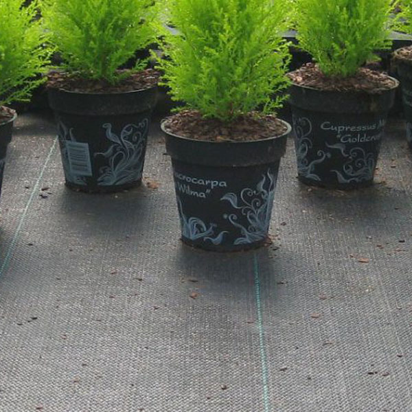 Toile de paillage 130g/m² Verte - Rouleau de 1,05 M x 100,00 M - Edia