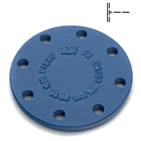 PLAQUE PLEINE DN40 PN10/16