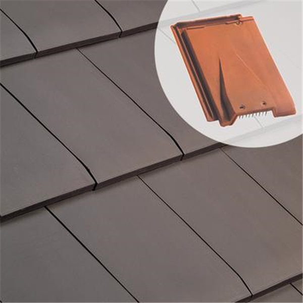 Tuile chatière en terre cuite - HP 10 Huguenot - Vieilli Masse