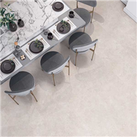 Carrelage sol intérieur en grès cérame émaillé Beige  – 60.5 x 60.5 cm – ép. 8 mm - Timeless
