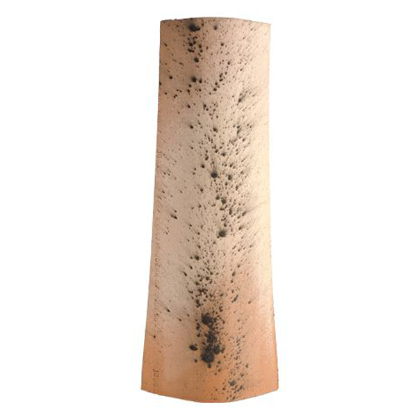 Tuile en terre cuite - Canal Gironde 50 Poudenx Edilians - Saintonge