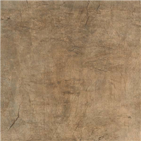 Carrelage extérieur grès cérame émaillé rectifié effet bois Edilis Woodtech - 60 cm x 60 cm - ép. 20 mm - Oak