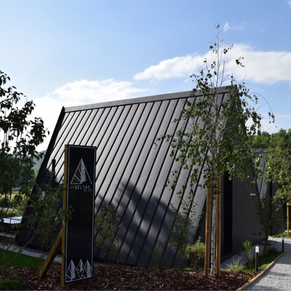 Tôle bac acier 0,50 MM prélaqué aspect joint debout Clipeo Bacacier - 450 MM x 2600,0 MM - Graphite RAL7016