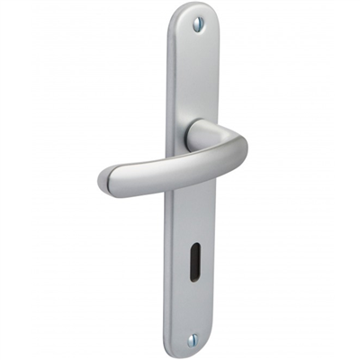 Ensemble poignée de porte à clé en L Vachette Budget - argent - entraxe fixation 195 mm - carré 7 mm