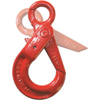 Crochet a verrouillage auto a oeil cmu 3.15 tonnes diamètre 10 mm