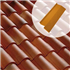 Rive bardelis droite 19XG