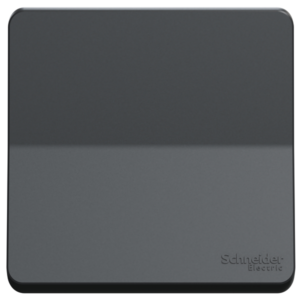 Interrupteur bouton-poussoir Schneider Mureva Styl - IP55 - IK08 - gris anthracite - 10A 250V