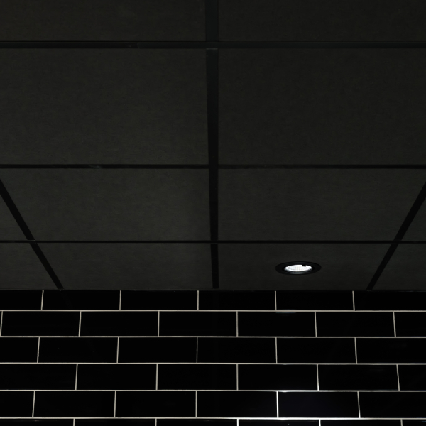 Dalle faux plafond 60,0 cm x 60 cm - Ecophon Hygiene Black A - Pour environnements humides - ép. 20 mm