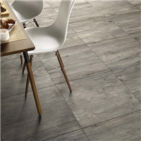 Carrelage extérieur grès cérame émaillé rectifié effet bois Edilis Woodtech - 60 cm x 60 cm - ép. 20 mm - Oak