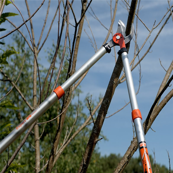 Élagueur expert PG-19-F télescopique Bahco longueur de 70 à 90 cm diamètre coupe 40mm