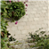 pavA9C3C320anthracite%2520ambiance.jpg