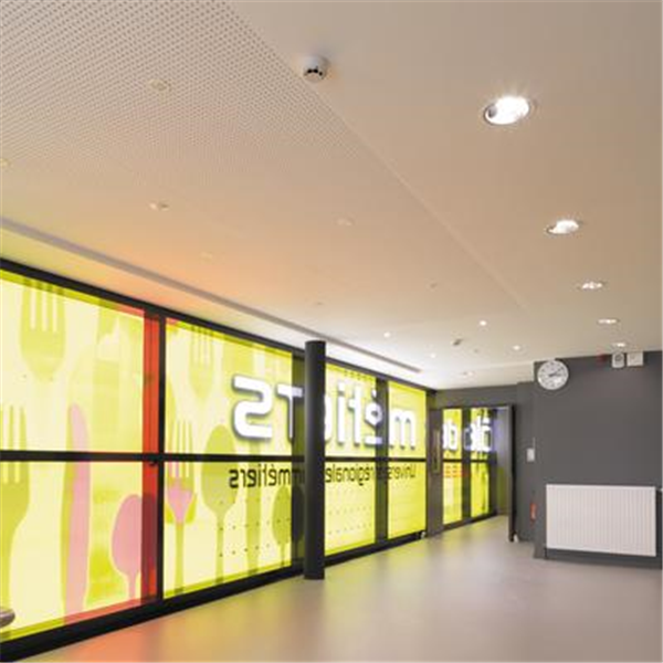 Dalle de plafond DELTA LINEAR