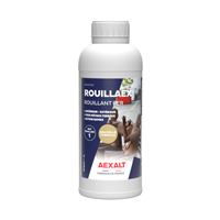Rouillant fer pour tous métaux ferreux intérieur et extérieur - Rouillaex Aexalt - bidon de 1 litre
