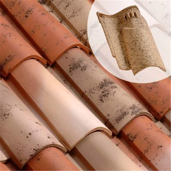 Tuile chatière CANAL S (112.20)