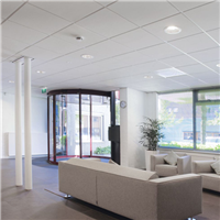 Dalle de faux plafond - Tonga 40 mm - Bords A (droits) - Blanc - 600,0 MM x 600 MM - ép. 40,00 MM