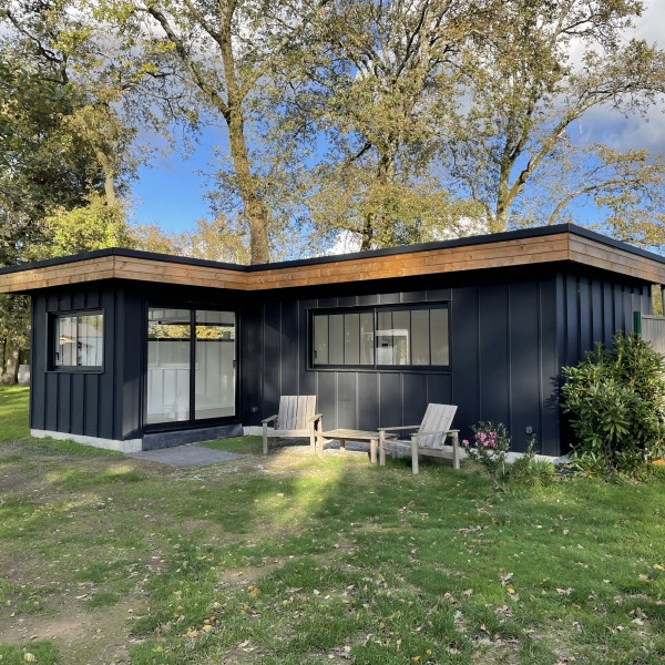 Tôle bac acier 0,50 mm prélaqué aspect joint debout - Clipeo 450 Bacacier - 1000 x 450 mm - Graphite