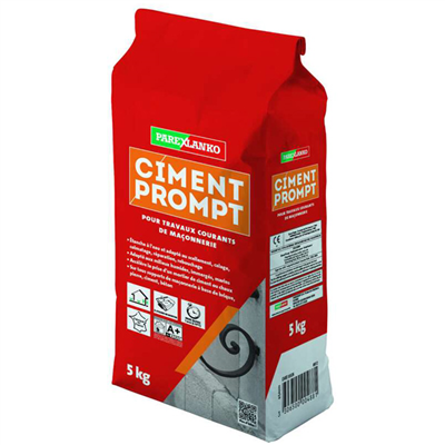 Ciment prompt pour scellement calage et réparation - Parexlanko - sac de 5,0 KG