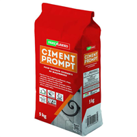 Ciment prompt pour scellement calage et réparation - Parexlanko - sac de 5,0 KG