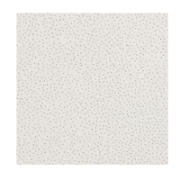 Dalle de plafond minérale - Armstrong Sahara - Bords droits - Blanc - 600 MM x 600,0 MM - ép 15,00 MM
