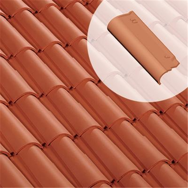 Rive ronde gauche - 9HR