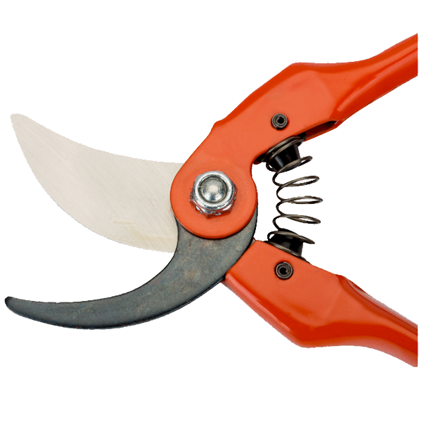 Sécateur à lames croisantes Bahco P126-19-F avec poignée en acier capacité 15 mm