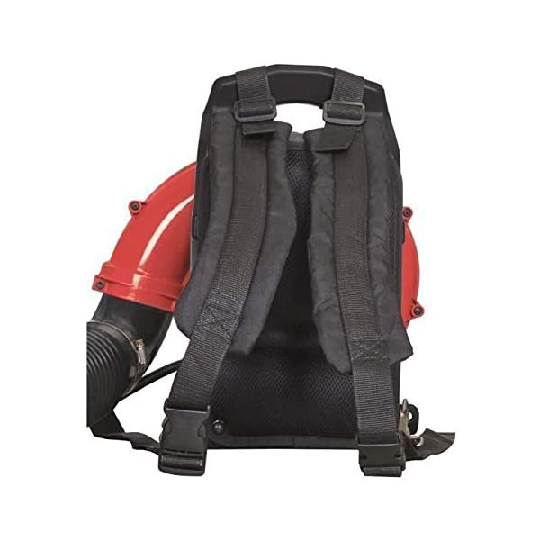 Souffleur Dorsal Scheppach LB5200BP 1,9 Cv