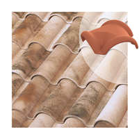 Poinçon 3 voies à bourrelet Tejas Borja - tuile mécanique et canal - coloris Nature Lamalou - 325 MM x 425 MM