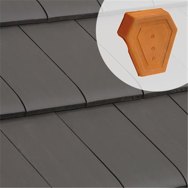 Fronton de rive universelle 1080