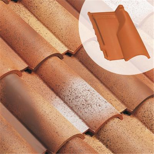 Tuile de ventilation Chatière AQUITAINE (111.20)