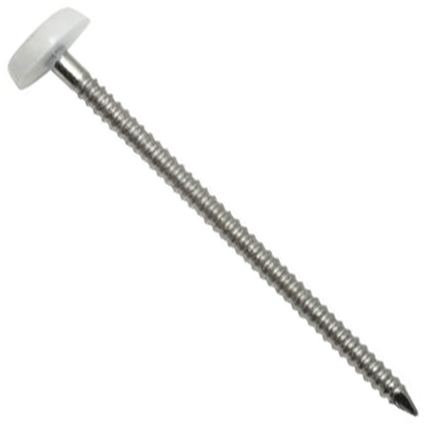 Pointe annelée Elos Inox A4 diamètre 2 MM longueur 40 MM tête Blanche boîte de 100