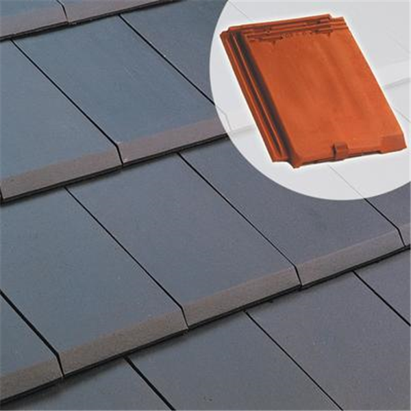 Tuile chatière pour ventilation sous-toiture - Alpha 10 - Ardoise