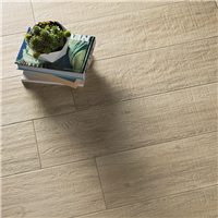 Carrelage intérieur en grès cérame émaillé effet bois Cévennes lisse - 80 CM x 19 CM - ép. 10 MM - Nature