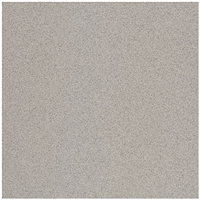 Carrelage intérieur grès cérame technique Taurus Granit Lisse mat ABS - 30,0 CM x 30,0 CM ép. 8,00 MM - Nordic
